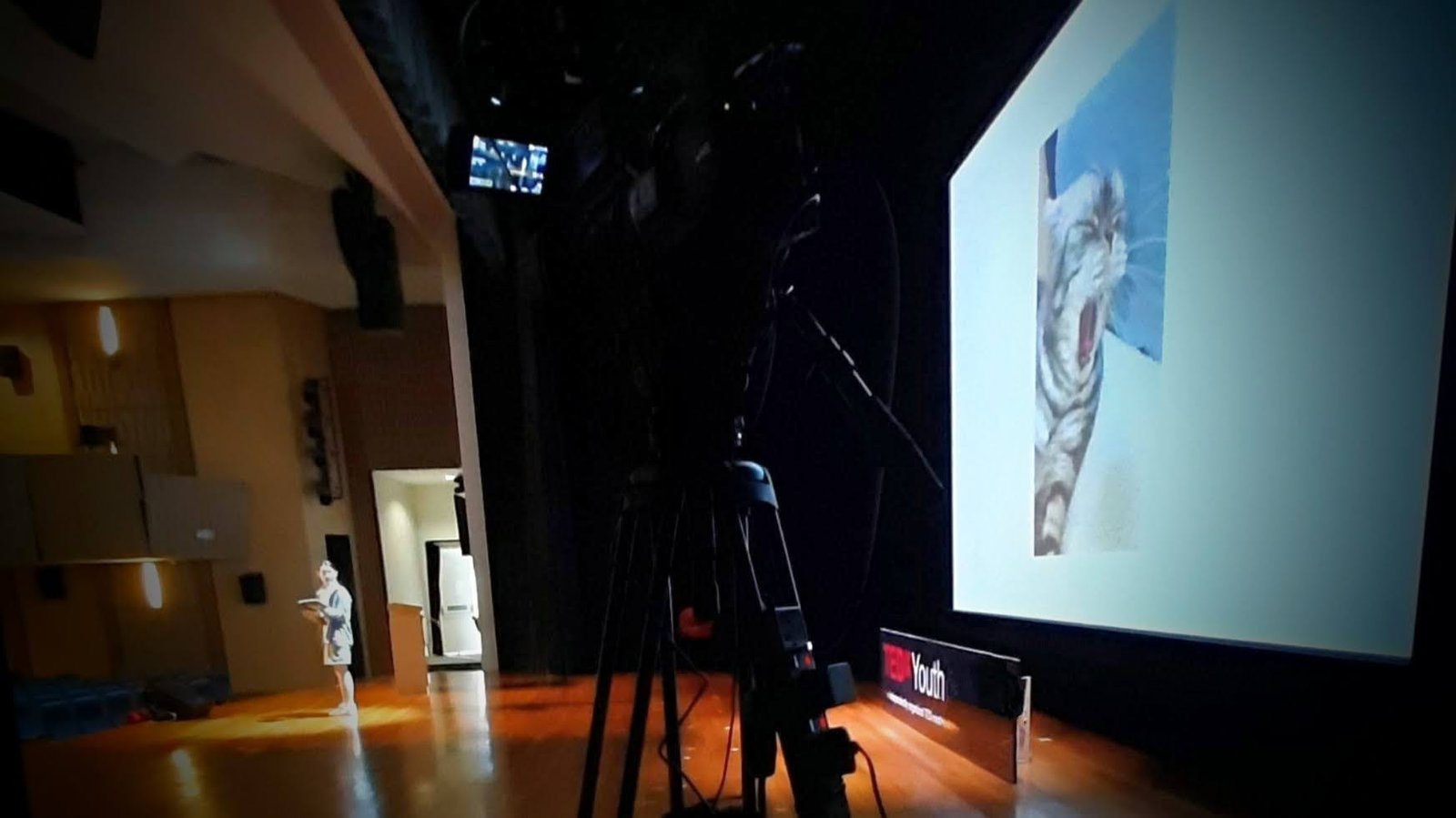 Audio Video Recording~2